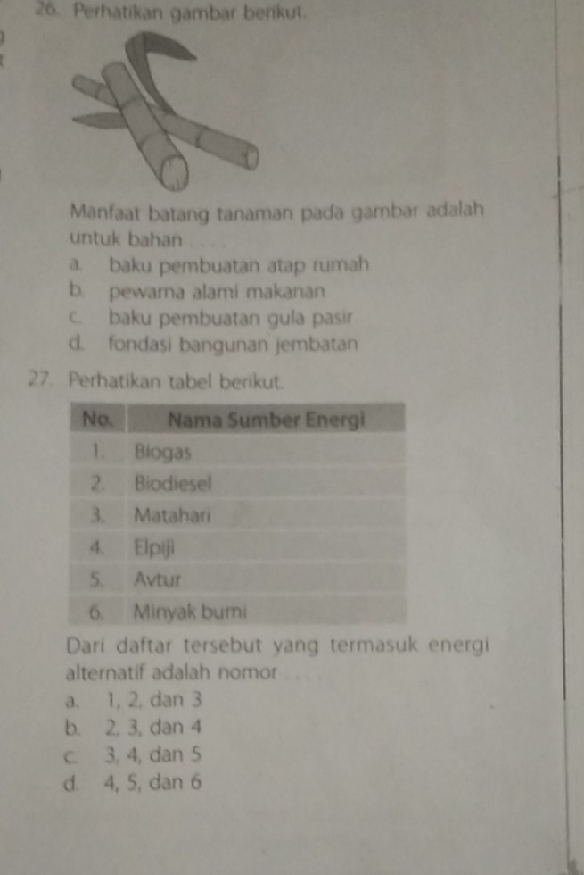 Perhatikan gambar benkut.
Manfaat batang tanaman pada gambar adalah
untuk bahan
a. baku pembuatan atap rumah
b. pewarna alami makanan
c. baku pembuatan gula pasir
d. fondasi bangunan jembatan
27. Perhatikan tabel berikut.
Dari daftar tersebut yang termasuk energi
alternatif adalah nomor . . . .
a. 1, 2, dan 3
b. 2, 3, dan 4
c. 3, 4, dan 5
d. 4, 5, dan 6