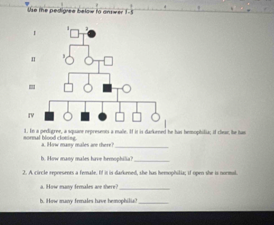 Use the pedigree below to answer 1-5 
1. In a pedigree, a square represents a male. If it is darkened he has hemophilia; if clear; he has 
normal blood clotting. 
a. How many males are there?_ 
b. How many males have hemophilia?_ 
2. A circle represents a female. If it is darkened, she has hemophilia; if open she is normal. 
a. How many females are there?_ 
b. How many females have hemophilia?_