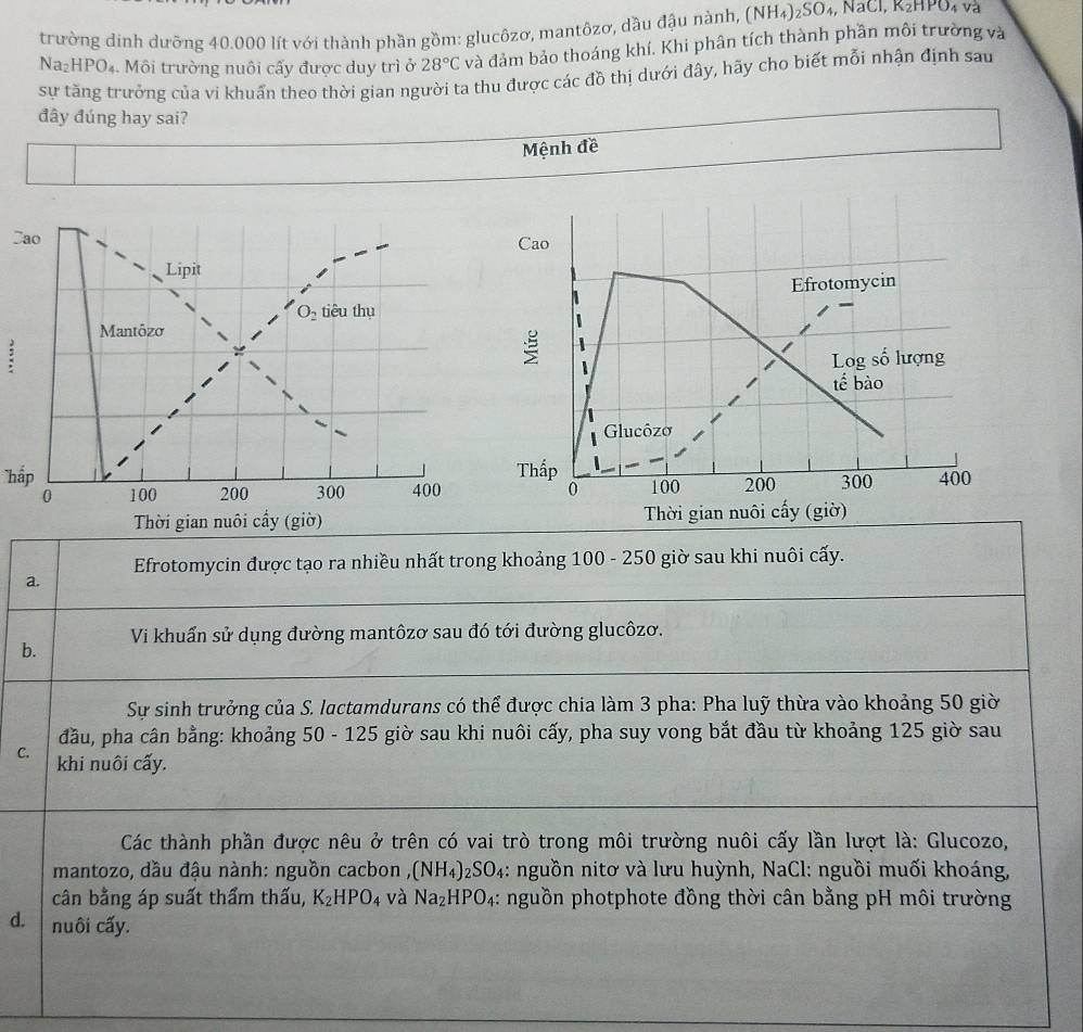 trường dinh dưỡng 40.000 lít với thành phần gồm: glucôzơ, mantôzơ, dầu đậu nành, (NH₄)₂SO₄, NaCl, K₂HPC
Na₂HPO₄. Môi trường nuôi cấy được duy trì ở 28°C và đảm bảo thoáng khí. Khi phân tích thành phần môi trường và
sự tăng trưởng của vi khuẩn theo thời gian người ta thu được các đồ thị dưới đây, hãy cho biết mỗi nhận định sau
đây đúng hay sai?
Mệnh đề
Jao Cao
Lipit
Efrotomycin
O_2 tiêu thụ
Mantôzo
1 Log số lượng
tế bào
Glucôzo
'hấp Thấp 100 200 300 400
0 100 200 300 400 0
Thời gian nuôi cầy (giờ)  Thời gian nuôi cấy (giờ)
Efrotomycin được tạo ra nhiều nhất trong khoảng 100 - 250 giờ sau khi nuôi cấy.
a.
b. Vi khuẩn sử dụng đường mantôzơ sau đó tới đường glucôzơ.
Sự sinh trưởng của S. lactamdurans có thể được chia làm 3 pha: Pha luỹ thừa vào khoảng 50 giờ
đầu, pha cân bằng: khoảng 50 - 125 giờ sau khi nuôi cấy, pha suy vong bắt đầu từ khoảng 125 giờ sau
C. khi nuôi cấy.
Các thành phần được nêu ở trên có vai trò trong môi trường nuôi cấy lần lượt là: Glucozo,
mantozo, dầu đậu nành: nguồn cacbon (NH_4)_2SO_4 : nguồn nitơ và lưu huỳnh, NaCl: nguồi muối khoáng,
cân bằng áp suất thẩm thấu, K_2HPO_4 và Na_2HPO_4 : nguồn photphote đồng thời cân bằng pH môi trường
d. nuôi cấy.