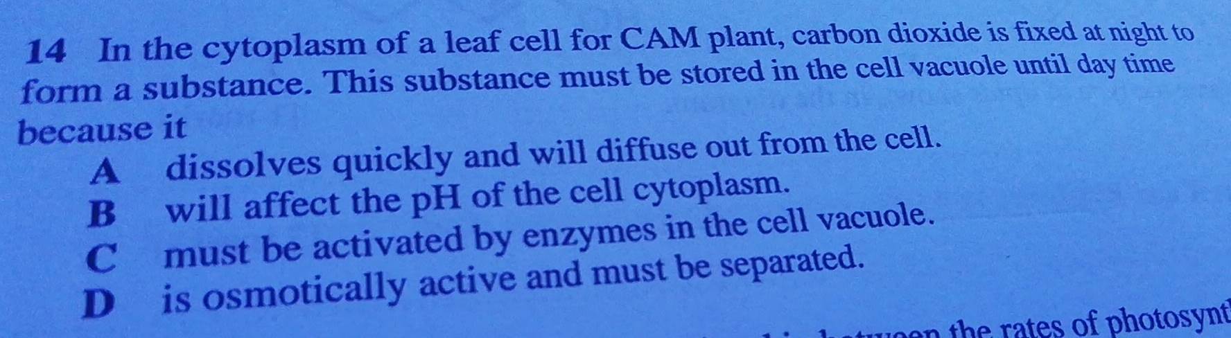 In the cytoplasm of a leaf cell for CAM plant, carbon dioxide is fixed at night to
form a substance. This substance must be stored in the cell vacuole until day time
because it
A dissolves quickly and will diffuse out from the cell.
Bwill affect the pH of the cell cytoplasm.
C must be activated by enzymes in the cell vacuole.
D is osmotically active and must be separated.
n the rates of photosynt