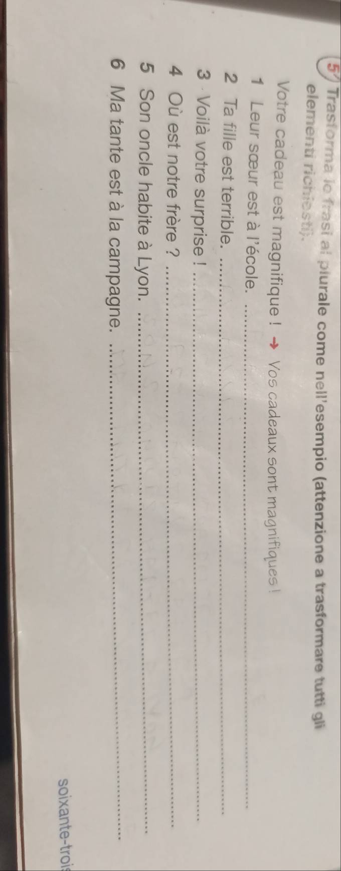 Trasforma lo frasi al plurale come nell'esempio (attenzione a trasformare tutti gli 
elementi richiesti). 
Votre cadeau est magnifique ! → Vos cadeaux sont magnifiques ! 
1 Leur sœur est à l'école._ 
2 Ta fille est terrible._ 
3 · Voilà votre surprise !_ 
4 Où est notre frère ?_ 
5 Son oncle habite à Lyon._ 
6 Ma tante est à la campagne._ 
soixante-troi