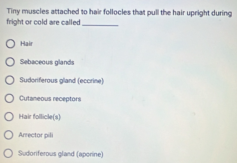 Tiny muscles attached to hair follocles that pull the hair upright during
fright or cold are called_
Hair
Sebaceous glands
Sudoriferous gland (eccrine)
Cutaneous receptors
Hair follicle(s)
Arrector pili
Sudoriferous gland (aporine)