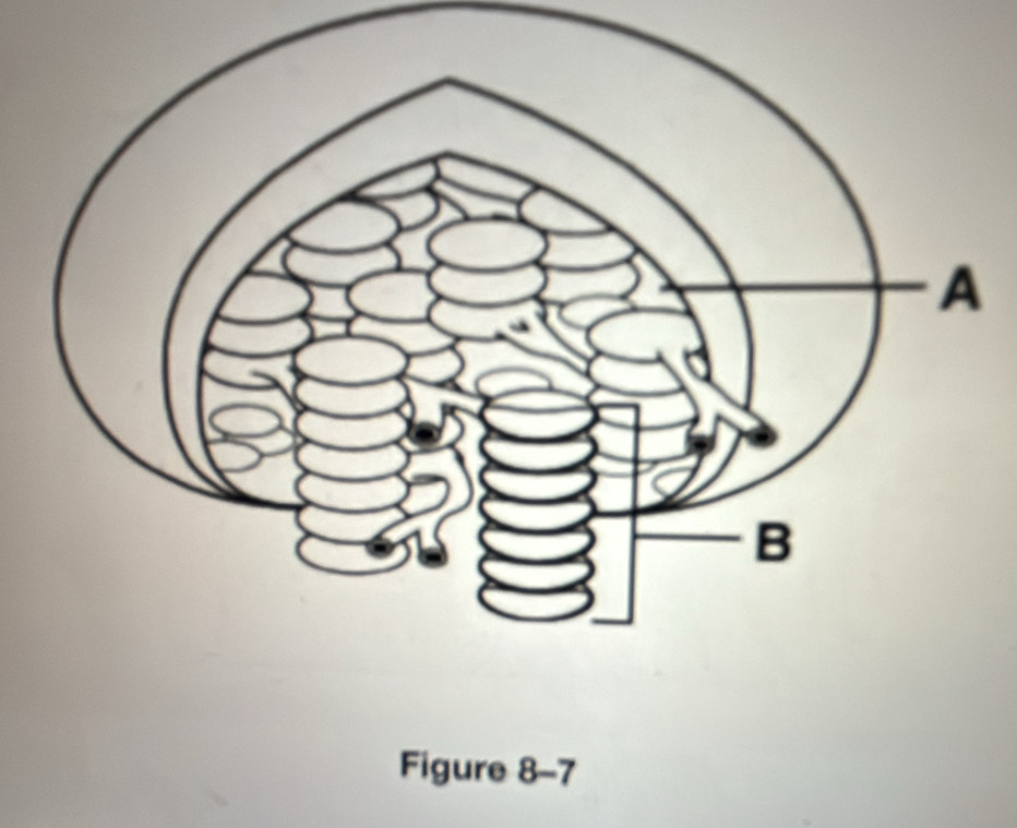 Figure 8-7