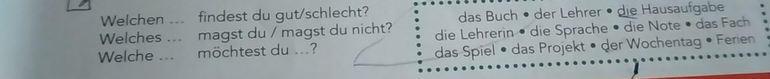 Welchen ... findest du gut/schlecht? 
das Buch • der Lehrer • die Hausaufgabe 
Welches ... magst du / magst du nicht? 
die Lehrerin • die Sprache • die Note • das Fach 
Welche ... möchtest du ...? 
das Spiel • das Projekt • der Wochentag • Ferien