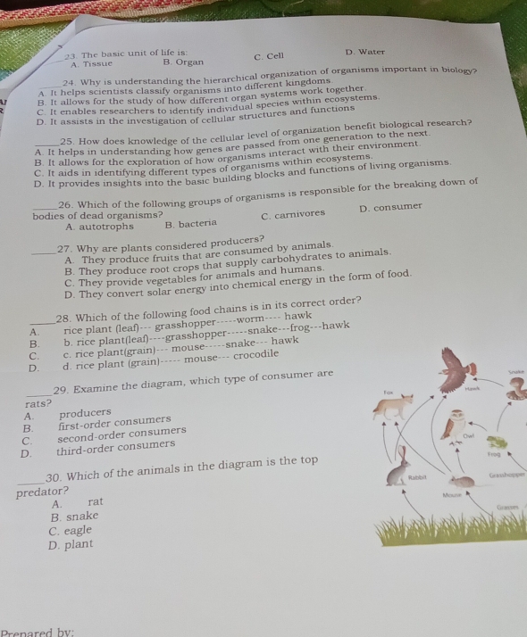 The basic unit of life is: C. Cell D. Water
A. Tissue B. Organ
24. Why is understanding the hierarchical organization of organisms important in biology?
A. It helps scientists classify organisms into different kingdoms.
a B. It allows for the study of how different organ systems work together
C. It enables researchers to identify individual species within ecosystems.
D. It assists in the investigation of cellular structures and functions
25. How does knowledge of the cellular level of organization benefit biological research?
A. It helps in understanding how genes are passed from one generation to the next.
_B. It allows for the exploration of how organisms interact with their environment
C. It aids in identifying different types of organisms within ecosystems
D. It provides insights into the basic building blocks and functions of living organisms.
26. Which of the following groups of organisms is responsible for the breaking down of
bodies of dead organisms? D. consumer
A. autotrophs B. bacteria C. carnivores
27. Why are plants considered producers?
A. They produce fruits that are consumed by animals.
_B. They produce root crops that supply carbohydrates to animals.
C. They provide vegetables for animals and humans.
D. They convert solar energy into chemical energy in the form of food.
28. Which of the following food chains is in its correct order?
A._ rice plant (leaf)--- grasshopper-----worm---- hawk
B. b. rice plant(leaf)----grasshopper-----snake---frog---hawk
C. c. rice plant(grain)--- mouse-----snake--- hawk
D. d. rice plant (grain)----- mouse--- crocodile
_29. Examine the diagram, which type of consumer are
2
rats?
A. producers
B. first-order consumers
C. second-order consumers
D. third-order consumers
_
30. Which of the animals in the diagram is the top
Grasshoppes
predator?
A. rat
B. snake rs
C. eagle
D. plant
Prenared by: