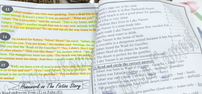 urtle's eggs are in the sand. C
Jubari couldn't see who was speaking. Then a dead tree in the urtle's home is in Ras Hankorab beach ← __
water moved. It wasn't a tree! It was an animal!" "What are you?" st corab beach is not a good place for gazelles ( . . 
. 
Jubari. "I'm a crocodile," said the animal. "This is my home, and Irel Elba is very steep
hungry." Jubari's mother taught him not to stay near animals with K. Nubian ibex lives in Lake Nasser. ( .   ..
teeth. It was too dangerous! He ran and ran all the way home to the ke Nasser is a man-made lake.
wople made Lake Nasser because they needed fish. (_
el Gemal.
(
Gazelles need water to drink.
14 He looked for Subira. "Mom! Mom!" he cried. "Jubari, m Take Nasser is the home of birds.
and curious son. You are home," his mother said. Smiling, she as A crocodile is a dangerous animal because it has big teeth. (
C
Did you find the 'Wadi of the Gazelles'?" "No, I didn't. But I fou Jubari found the Wadi for Gazelles. C.
of other places." "Did you like them?" his mother asked. "Not at  Jubari liked all the places he found.
them. The mangroves were too salty. The beach was too sandy
mountains were too steep. And there weren't many acacia trees 4. The desert is perfect for the gazelles.
5. Lake Nasser is an important resource of water.
(2) Read and circle the correct answer:
15 "Well, we have a lot of acacia trees here, and the desert
emal is the perfect place for gazelles." "I'm so happy that yo ). Jubari was born in Wadi el (Gemal - Gazella - bird - cat).
or us to run and run!". "Yes," said Jubari. "You were right. W
2. Subira was Jubari's (mother - father - brother - grandpa).
he smiled.
3. Jubari was very (weak - strong - brave - lazy).
4. Jubari learned to run away very (slowly - quickly - bad - hard).
tion Story
Homewor
5. The gazelle's favourite food is the desert (sand - camels - daffodil -
) Read and write True (T) or False (F): plants aves give gazelles (food only - water only - fo