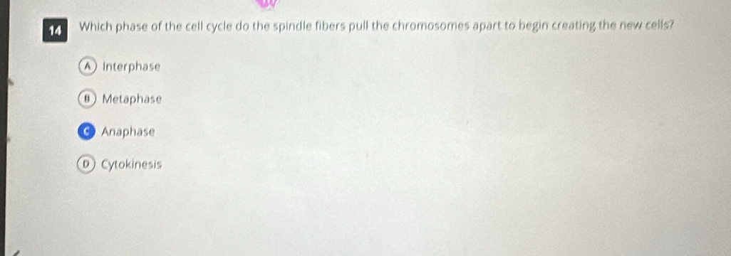 Which phase of the cell cycle do the spindle fibers pull the chromosomes apart to begin creating the new cells?
A Interphase
θ Metaphase
Anaphase
Cytokinesis