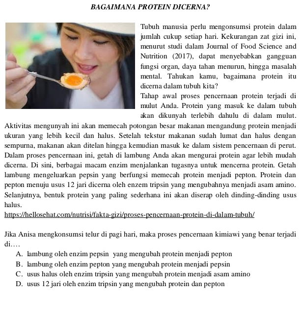 BAGAIMANA PROTEIN DICERNA?
buh manusia perlu mengonsumsi protein dalam
lah cukup setiap hari. Kekurangan zat gizi ini,
nurut studi dalam Journal of Food Science and
utrition (2017), dapat menyebabkan gangguan
gsi organ, daya tahan menurun, hingga masalah
ntal. Tahukan kamu, bagaimana protein itu
erna dalam tubuh kita?
hap awal proses pencernaan protein terjadi di
lut Anda. Protein yang masuk ke dalam tubuh
akan dikunyah terlebih dahulu di dalam mulut.
Aktivitas mengunyah ini akan memecah potongan besar makanan mengandung protein menjadi
ukuran yang lebih kecil dan halus. Setelah tekstur makanan sudah lumat dan halus dengan
sempurna, makanan akan ditelan hingga kemudian masuk ke dalam sistem pencernaan di perut.
Dalam proses pencernaan ini, getah di lambung Anda akan mengurai protein agar lebih mudah
dicerna. Di sini, berbagai macam enzim menjalankan tugasnya untuk mencerna protein. Getah
lambung mengeluarkan pepsin yang berfungsi memecah protein menjadi pepton. Protein dan
pepton menuju usus 12 jari dicerna oleh enzem tripsin yang mengubahnya menjadi asam amino.
Selanjutnya, bentuk protein yang paling sederhana ini akan diserap oleh dinding-dinding usus
halus.
https://hellosehat.com/nutrisi/fakta-gizi/proses-pencernaan-protein-di-dalam-tubuh/
Jika Anisa mengkonsumsi telur di pagi hari, maka proses pencernaan kimiawi yang benar terjadi
di....
A. lambung oleh enzim pepsin yang mengubah protein menjadi pepton
B. lambung oleh enzim pepton yang mengubah protein menjadi pepsin
C. usus halus oleh enzim tripsin yang mengubah protein menjadi asam amino
D. usus 12 jari oleh enzim tripsin yang mengubah protein dan pepton