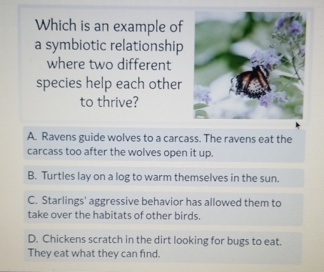 Solved: Which is an example of a symbiotic relationship where two ...