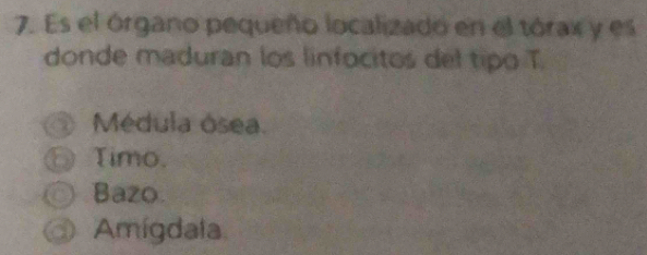 Es el órgano pequeño localizado en el tórax y es
donde maduran los linfocitos del tipo T.
Médula ósea.
、 Timo.
◎ Bazo.
a Amígdala