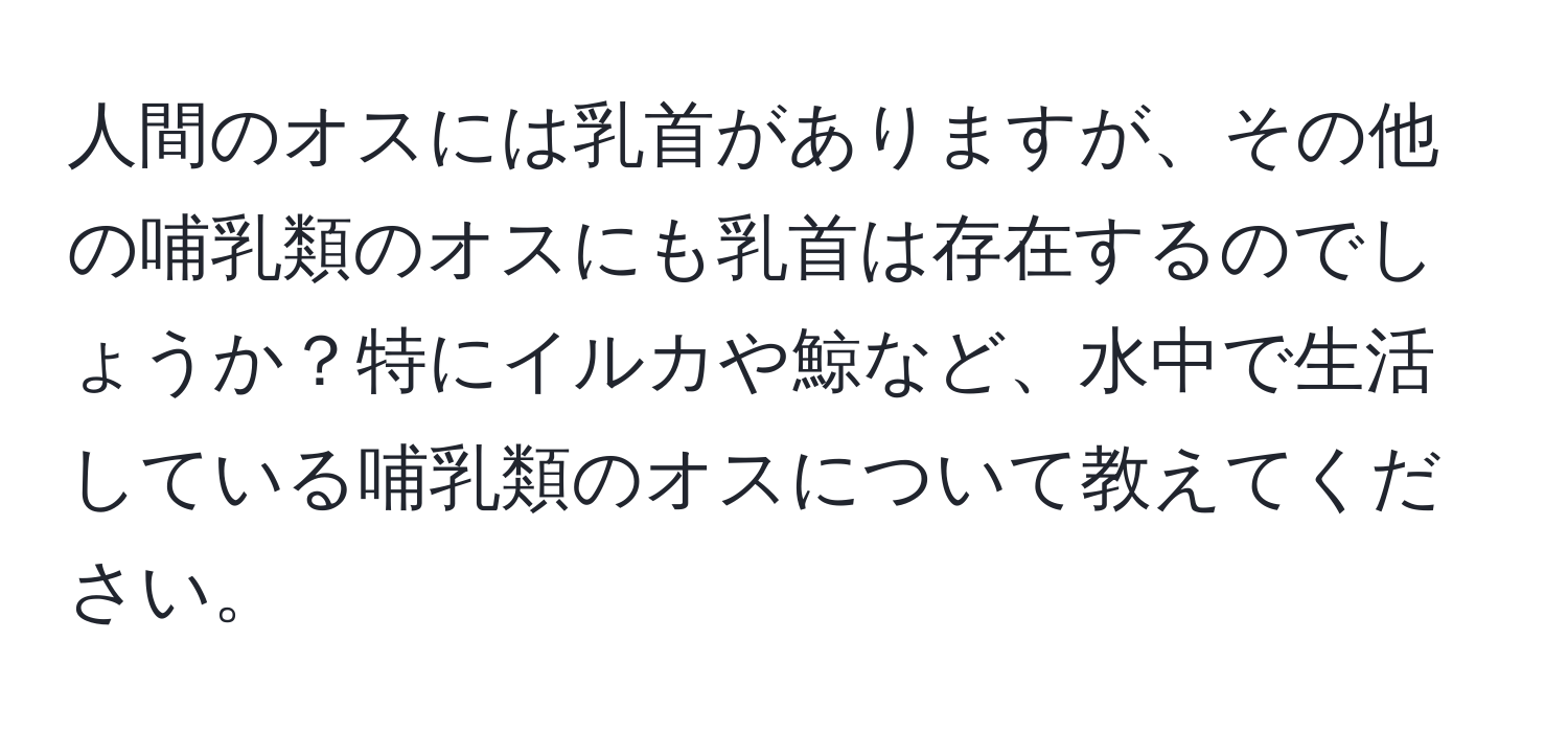 人間のオスには乳首がありますが、その他の哺乳類のオスにも乳首は存在するのでしょうか？特にイルカや鯨など、水中で生活している哺乳類のオスについて教えてください。