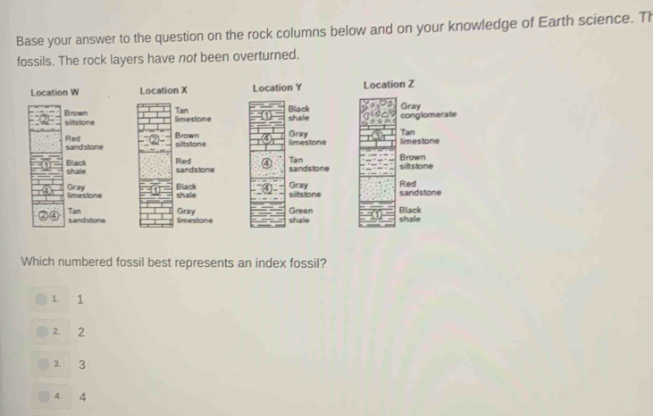 Base your answer to the question on the rock columns below and on your knowledge of Earth science. Th
fossils. The rock layers have not been overturned.
Location W Location X Location Y Location Z

conglomerate Gray
Tan
limestone

Brown
silt stone
Red
sandstone
Black
shale
Which numbered fossil best represents an index fossil?
1. 1
2. 2
3. 3
4. 4