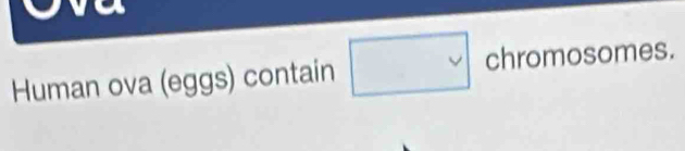 Human ova (eggs) contain □ chromosomes.