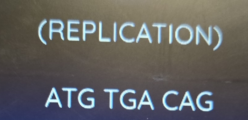 (REPLICATION)
ATG TGA CAG