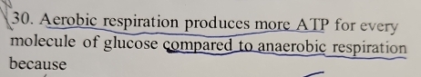 Aerobic respiration produces more ATP for every 
molecule of glucose compared to anaerobic respiration 
because