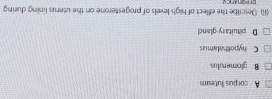 A corpus luteum
B glomerulus
C hypothalamus
D pituitary gland
(ii) (escribe the effect of high levels of progesterone on the uterus lining during
preanancu
