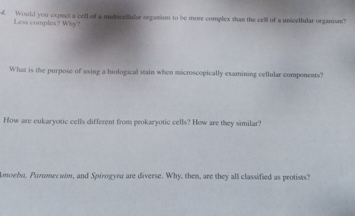 Would you expect a cell of a multicellular organism to be more complex than the cell of a unicellular organism? 
Less complex? Why? 
What is the purpose of using a biological stain when microscopically examining cellular components? 
How are eukaryotic cells different from prokaryotic cells? How are they similar? 
Amoeba, Paramecuim, and Spirogyra are diverse. Why, then, are they all classified as protists?