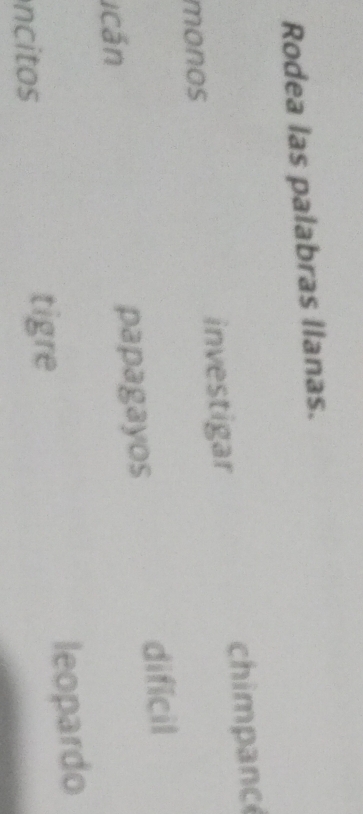 Rodea las palabras llanas. 
monos investigar chimpanc 
Icán papagayos dificil 
ncitos leopardo 
tigre