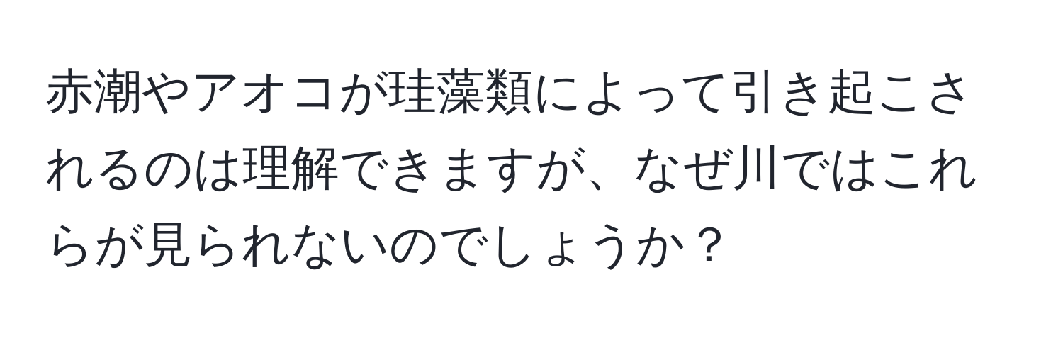 赤潮やアオコが珪藻類によって引き起こされるのは理解できますが、なぜ川ではこれらが見られないのでしょうか？