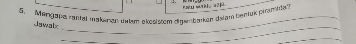 Mengga 
satu waktu saja. 
5. Mengapa rantai makanan dalam ekosistem digambarkan dalam bentuk piramida? 
Jawab: 
_ 
_ 
_