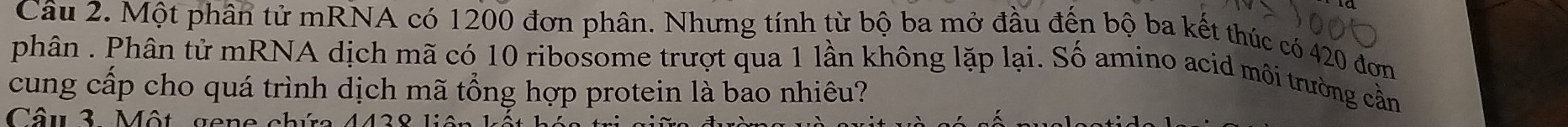 Một phân tử mRNA có 1200 đơn phân. Nhưng tính từ bộ ba mở đầu đến bộ ba kết thúc có 420 đơn 
phân . Phân tử mRNA dịch mã có 10 ribosome trượt qua 1 lần không lặp lại. Số amino acid môi trường cần 
cung cấp cho quá trình dịch mã tổng hợp protein là bao nhiêu? 
Câu 3. Một gene chứa 4438