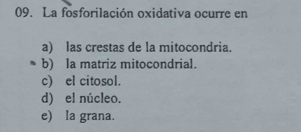 La fosforilación oxidativa ocurre en
a) las crestas de la mitocondria.
b) la matriz mitocondrial.
c) el citosol.
d) el núcleo.
e) la grana.