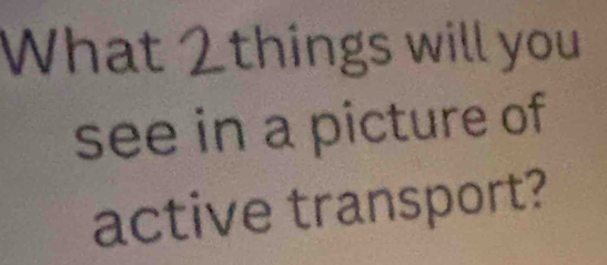 What 2 things will you 
see in a picture of 
active transport?