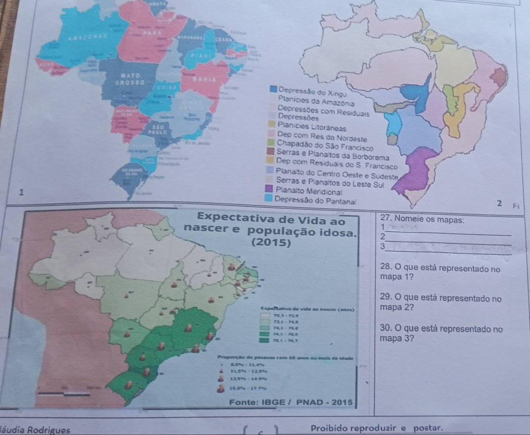 Nos
MA TD
GROSSO
[Depressão do Xingu
Planicies da Amazônia
Depressões com Residuais
Depressões
Planicies Litorâneas
Dep com Res do Nordeste
Chapadão do São Francisco
Serras e Planaitos da Borbórema
re
Dep com Residuais do S. Francisco
Pianalto do Centro Oeste e Sudeste,
Serras e Planaitos do Leste Sul
1
Planalto Mendional 2 F(
Depressão do 
meie os mapas:
_
_
ue está representado no
mapa 1?
ue está representado no
mapa 2?
que está representado no
mapa 3?
Ráudia Rodrigues 1 Proibido reproduzir e postar.