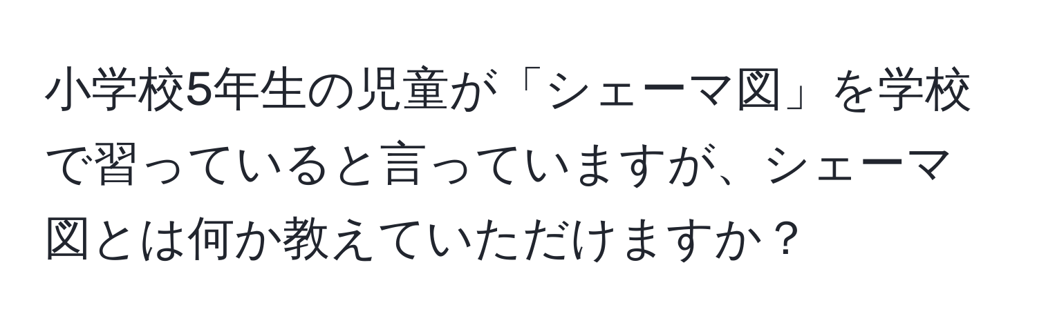 小学校5年生の児童が「シェーマ図」を学校で習っていると言っていますが、シェーマ図とは何か教えていただけますか？