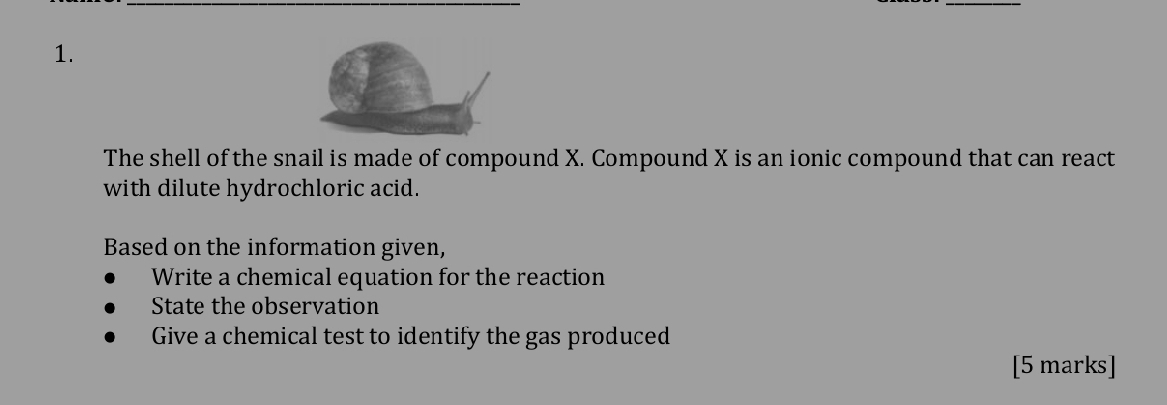 Selesai:The shell of the snail is made of compound X. Compound X is an ...