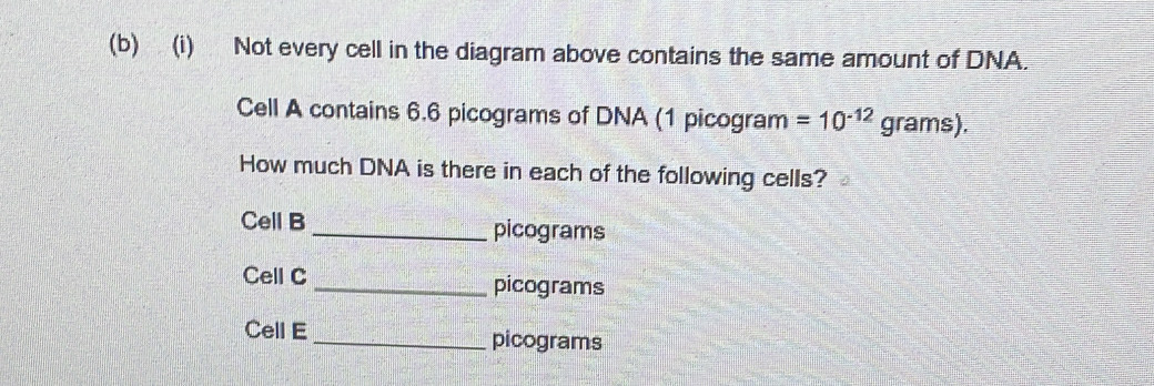 Solved: Not every cell in the diagram above contains the same amount of ...