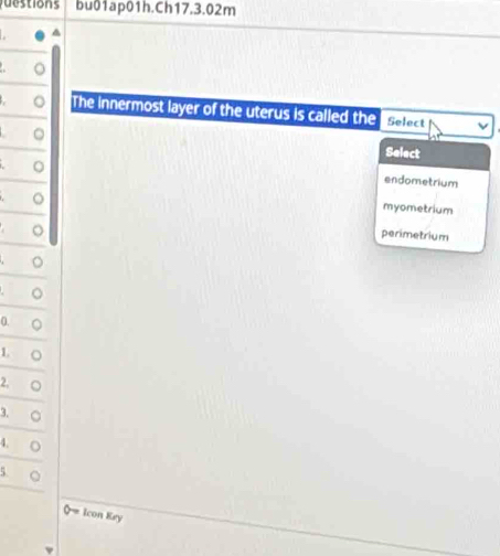 tions bu01ap01h.Ch17.3.02m
^
.
The innermost layer of the uterus is called the Select
。
Select
endometrium
。
myometrium
。
perimetrium
0.
1.
2. 。
3. ○
4. ○
5. ○
0- Icon Key