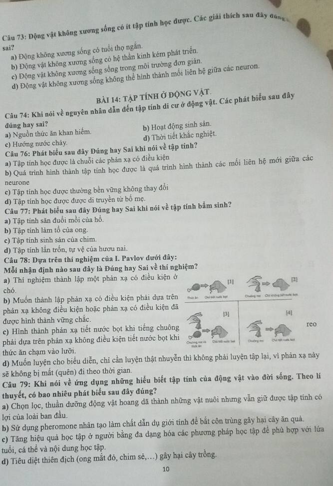 Động vật không xương sống có ít tập tính học được. Các giải thích sau đây đóng
sai?
a) Động không xương sống có tuổi thọ ngắn.
b) Động vật không xương sống có hệ thần kinh kém phát triển
c) Động vật không xương sống sống trong môi trường đơn giản.
d) Động vật không xương sống không thể hình thành mối liên hệ giữa các neuron.
bài 14: tập tÍnH ở độnG vật.
Câu 74: Khi nói về nguyên nhân dẫn đến tập tính di cư ở động vật. Các phát biểu sau đây
đúng hay sai?
a) Nguồn thức ăn khan hiếm. b) Hoạt động sinh sản.
c) Hướng nước chảy. d) Thời tiết khắc nghiệt.
Câu 76: Phát biểu sau đây Đúng hay Sai khi nói về tập tính?
a) Tập tinh học được là chuỗi các phản xạ có điều kiện
b) Quá trình hình thành tập tính học được là quá trình hình thành các mối liên hệ mới giữa các
neurone
c) Tập tính học được thường bền vững không thay đổi
d) Tập tính học được được di truyền từ bố mẹ.
Câu 77: Phát biểu sau đây Đúng hay Sai khi nói về tập tính bắm sinh?
a) Tập tinh săn đuổi mồi của hồ.
b) Tập tính làm tổ của ong.
c) Tập tính sinh sản của chim.
d) Tập tính lần trốn, tự vệ của hươu nai.
Câu 78: Dựa trên thí nghiệm của I. Pavlov dưới đây:
Mỗi nhận định nào sau đây là Đúng hay Sai về thí nghiệm?
a) Thí nghiệm thành lập một phản xạ có điều kiện ở |1]
[2]
chó.
b) Muốn thành lập phản xạ có điều kiện phải dựa trên Chh tết ngớc tạt Chương mẹ  Ci không lit rườa
phản xạ không điều kiện hoặc phản xạ có điều kiện đã
được hình thành vững chắc. [3] [4]
c) Hình thành phản xạ tiết nước bọt khi tiếng chuông
reo
phải dựa trên phản xạ không điều kiện tiết nước bọt khi  Da tế ni h ==hường ===
thức ăn chạm vào lưỡi.
d) Muốn luyện cho biểu diễn, chỉ cần luyện thật nhuyễn thì không phải luyện tập lại, vì phản xạ này
sẽ không bị mất (quên) đi theo thời gian.
Câu 79: Khi nói về ứng dụng những hiểu biết tập tính của động vật vào đời sống. Theo lí
thuyết, có bao nhiêu phát biểu sau đây đúng?
a) Chọn lọc, thuần dưỡng động vật hoang dã thành những vật nuôi nhưng vẫn giữ được tập tính có
lợi của loài ban đầu.
b) Sử dụng pheromone nhân tạo làm chất dẫn dụ giới tính đề bắt côn trùng gây hại cây ăn quả.
c) Tăng hiệu quả học tập ở người bằng đa dạng hóa các phương pháp học tập để phù hợp với lứa
tuổi, cá thể và nội dung học tập.
d) Tiêu diệt thiên địch (ong mắt đỏ, chim sẻ,..) gây hại cây trồng.
10