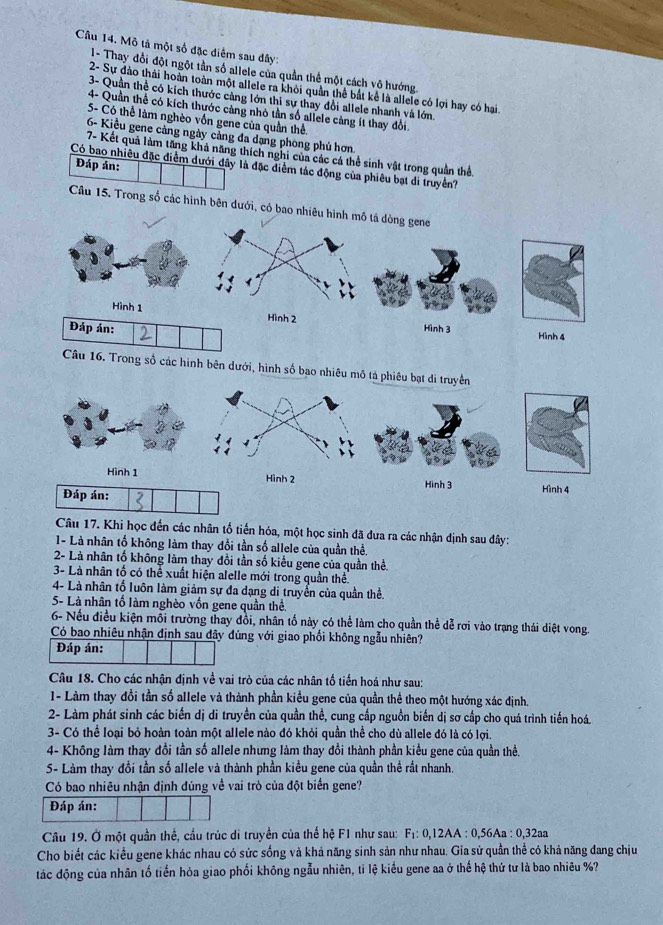 Mô tả một số đặc diểm sau dây:
1- Thay đổi đột ngột tần số allele của quần thể một cách vô hướng.
2- Sự đảo thái hoàn toàn một allele ra khỏi quần thể bắt kể là allele có lợi hay có hại
3- Quần thể có kích thước càng lớn thi sự thay đổi allele nhanh và lớn.
4- Quần thể có kích thước cảng nhỏ tần số allele càng ít thay đổi.
5- Có thể làm nghèo vốn gene của quần thể.
6- Kiểu gene càng ngày cảng đa dạng phong phú hơn
7- Kết quả làm tăng khả năng thích nghi của các cá thể sinh vật trong quân thể,
Đáp án:
Có bao nhiêu đặc điểm dưới đây là đặc diểm tác động của phiêu bạt di truyền?
Câu 15. Trong số các hình bên dưới, có bao nhiêu hình mô tá dòng gene
Hình 1
Đáp án:
Hình 2 Hình 3 Hình 4
Câu 16. Trong số các hình bên dưới, hình số bao nhiêu mô tả phiêu bạt di truyền
Hình 1 Hình 2 Hinh 3
Đáp án: Hình 4
Câu 17. Khi học đến các nhân tố tiến hóa, một học sinh đã đưa ra các nhận định sau đây:
1- Là nhân tố không làm thay đổi tần số allele của quần thể.
2- Là nhân tố không làm thay đồi tần số kiểu gene của quần thể.
3- Là nhân tố có thể xuất hiện alelle mới trong quần thể.
4- Là nhân tố luôn làm giảm sự đa dạng di truyển của quần thể.
5- Là nhân tố làm nghèo vốn gene quần thể.
6- Nếu điều kiện mỗi trường thay đồi, nhân tố này có thể làm cho quần thể dễ rơi vào trạng thái diệt vong.
Có bao nhiêu nhận định sau dây đúng với giao phối không ngẫu nhiên?
Đáp án:
Câu 18. Cho các nhận định về vai trò của các nhân tố tiền hoá như sau:
1- Làm thay đổi tần số allele và thành phần kiều gene của quần thể theo một hướng xác định.
2- Làm phát sinh các biến dị di truyền của quần thể, cung cấp nguồn biến dị sơ cấp cho quá trình tiến hoá.
3- Có thể loại bỏ hoàn toàn một allele nào đó khỏi quần thể cho dù allele đó là có lợi.
4- Không làm thay đổi tần số allele nhưng làm thay đồi thành phần kiểu gene của quần thề.
5- Làm thay đổi tần số allele và thành phần kiều gene của quần thể rất nhanh.
Có bao nhiêu nhận định đúng về vai trò của đột biển gene?
Đáp án:
Câu 19. Ở một quần thể, cầu trúc di truyền của thể hệ F1 như sau: F_1:0,12AA:0,56Aa:0,32az
Cho biết các kiểu gene khác nhau có sức sống và khả năng sinh sản như nhau. Gia sử quần thể có khả năng đang chịu
tác động của nhân tố tiến hỏa giao phối không ngẫu nhiên, tỉ lệ kiểu gene aa ở thế hệ thứ tư là bao nhiêu %?