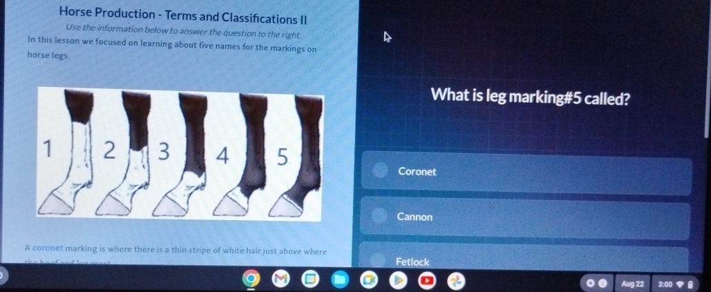 Horse Production - Terms and Classifcations II 
Use the information below to answer the question to the right. 
In this lesson we focused on learning about five names for the markings on 
horse legs. 
What is leg marking# 5 called?
1 2 3 4 5
Coronet 
Cannon 
A coronet marking is where there is a thin stripe of white hair just above where 
Fetlock 
Aug 22 3:00