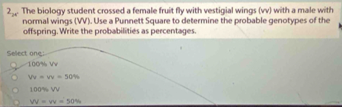 2₃. The biology student crossed a female fruit fly with vestigial wings (vv) with a male with
normal wings (VV). Use a Punnett Square to determine the probable genotypes of the
offspring. Write the probabilities as percentages.
Select one:
100% Vv
Vv=vv=50%
100% VV
VV=VV=50%