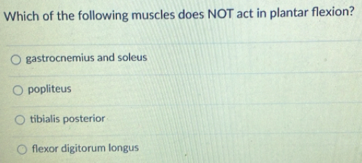 Which of the following muscles does NOT act in plantar flexion?
gastrocnemius and soleus
popliteus
tibialis posterior
flexor digitorum longus