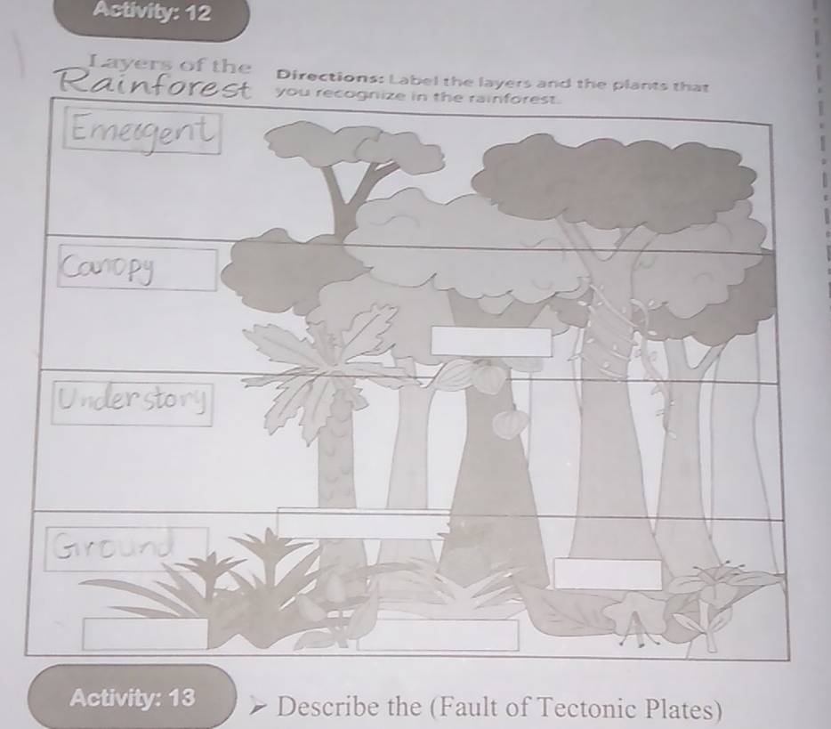 Activity: 12 
Layers of the Directions: Label the layers and the plants that 
you recognize in the rainforest. 
Activity: 13 Describe the (Fault of Tectonic Plates)