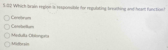 5.02 Which brain region is responsible for regulating breathing and heart function?
Cerebrum
Cerebellum
Medulla Oblongata
Midbrain