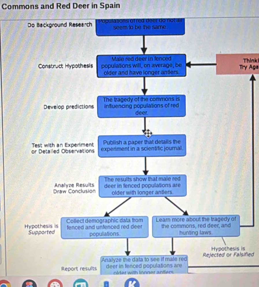 Commons and Red Deer in Spain 
Do Background Research Populations of red deer do not all 
seem to be the same. 
Male red deer in fenced 
Think 
Construct Hypothesis populations will, on average, be Try Aga 
older and have longer antlers. 
The tragedy of the commons is 
Develop predictions influencing populations of red 
deer. 
Test with an Experiment Publish a paper that details the 
or Detalled Observations experiment in a scientific journal. 
The results show that male red 
Analyze Results deer in fenced populations are 
Draw Conclusion older with longer antlers. 
Collect demographic data from Learn more about the tragedy of 
Hypothesis is fenced and unfenced red deer the commons, red deer, and 
Supported populations. hunting laws. 
Hypothesis is 
Analyze the data to see if male red Rejected or Falsified 
Report results deer in fenced populations are 
older with longer antlers