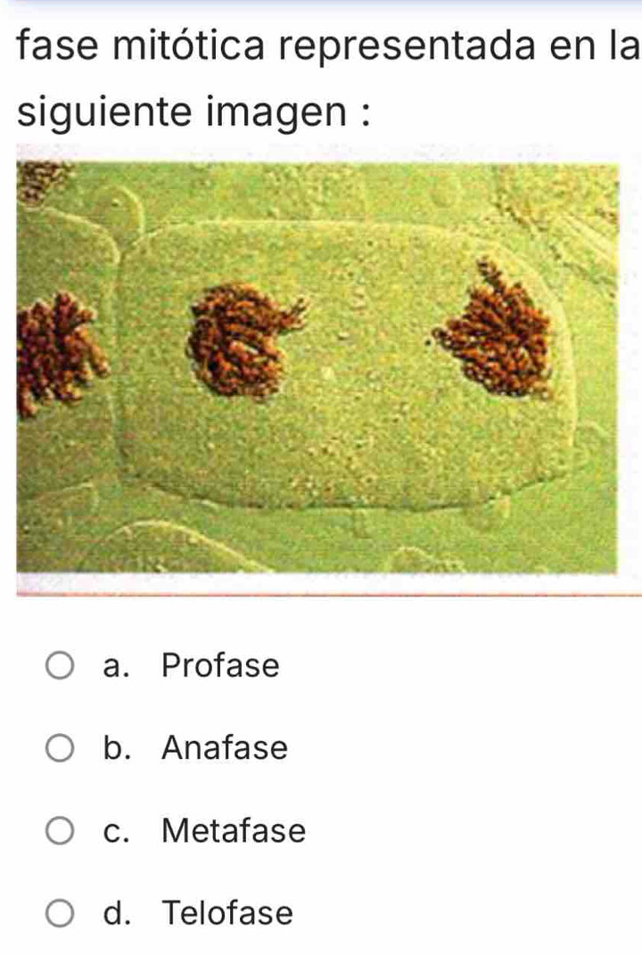 fase mitótica representada en la
siguiente imagen :
a. Profase
b. Anafase
c. Metafase
d. Telofase