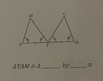 △ TAM≌ △ _by_