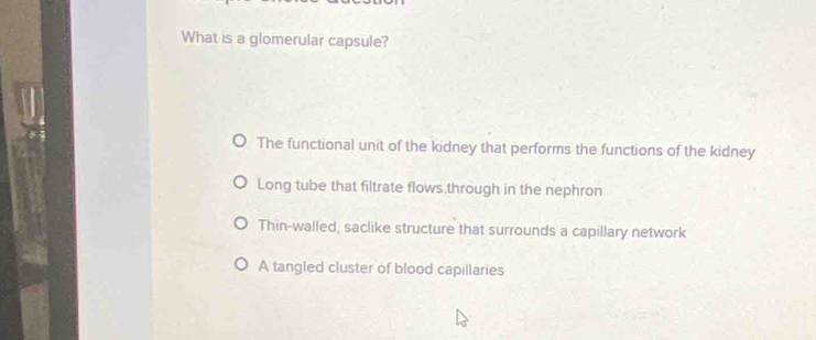 What is a glomerular capsule?
The functional unit of the kidney that performs the functions of the kidney
Long tube that filtrate flows through in the nephron
Thin-walled, saclike structure that surrounds a capillary network
A tangled cluster of blood capillaries