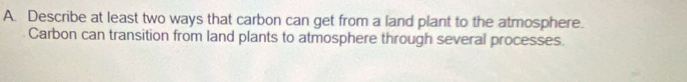 Describe at least two ways that carbon can get from a land plant to the atmosphere. 
Carbon can transition from land plants to atmosphere through several processes.