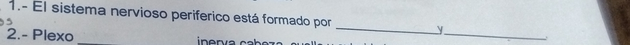 1.- El sistema nervioso periferico está formado por _y_ 、 
2.- Plexo e rv