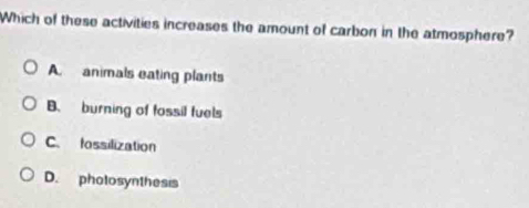 Which of these activities increases the amount of carbon in the atmosphere?
A animals eating plants
B. burning of fossil fuels
C. fossilization
D. photosynthesis