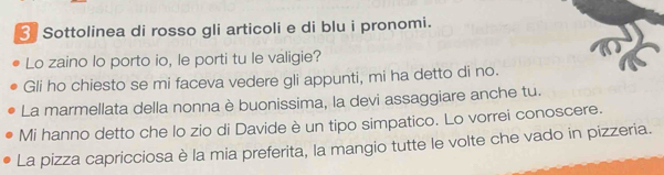 Sottolinea di rosso gli articoli e di blu i pronomi. 
Lo zaino lo porto io, le porti tu le valigie? 
Gli ho chiesto se mi faceva vedere gli appunti, mi ha detto di no. 
La marmellata della nonna è buonissima, la devi assaggiare anche tu. 
Mi hanno detto che lo zio di Davide è un tipo simpatico. Lo vorrei conoscere. 
La pizza capricciosa è la mia preferita, la mangio tutte le volte che vado in pizzeria.