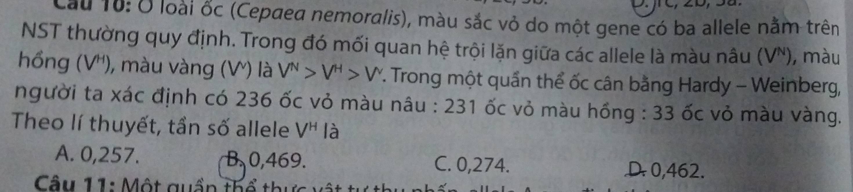 Cầu 10: Ở loài ốc (Cepaea nemoralis), màu sắc vỏ do một gene có ba allele nằm trên
NST thường quy định. Trong đó mối quan hệ trội lặn giữa các allele là màu nâu (VN), màu
hồng (V'), màu vàng (V) là V^N>V^H>V^ :. Trong một quần thể ốc cân bằng Hardy - Weinberg,
người ta xác định có 236 ốc vỏ màu nâu : 231 ốc vỏ màu hồng : 33 ốc vỏ màu vàng.
Theo lí thuyết, tần số allele V^H là
A. 0,257. B. 0,469. C. 0,274.
D0, 462.
Câu 11: Một quần thể thị