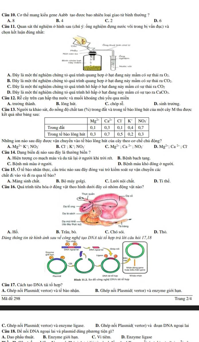 Cơ thể mang kiều gene Aabb tạo được bao nhiêu loại giao tử bình thường ?
A. 8 B. 4 C. 2 D. 6
Câu 11. Quan sát thí nghiệm ở hình sau (chú ý: ống nghiệm đựng nước vôi trong bị vẫn đục) và
chọn kết luận đúng nhất:
A. Đây là một thí nghiệm chứng tỏ quá trình quang hợp ở hạt đang này mầm có sự thải ra O₂.
B. Đây là một thí nghiệm chứng tỏ quá trình quang hợp ở hạt đang nảy mầm có sự thải ra CO_2
C. Đây là một thí nghiệm chứng tỏ quá trình hô hấp ở hạt đang này mầm có sự thải ra CO_2
D. Đây là một thí nghiệm chứng tỏ quá trình hô hấp ở hạt đang nảy mầm có sự tạo ra CaCO3.
Câu 12. Rễ cây trên cạn hấp thụ nước và muối khoáng chủ yếu qua miền
A. trưởng thành. B. lông hút. C. chóp rễ. D. sinh trưởng.
Câu 13. Người ta khảo sát, đo nồng độ chất tan (%) trong đắt và trong tế bào lông hút của một cây M thu được
kết quả như bảng 
Những ion nào sau đây được vận chuyển vào tế bào lông hút của cây theo cơ chế chủ động?
A. Mg^(2+):K^+;NO_3^(- B. Cl^-):K^+:NO_3 C. Mg^(2+);Ca^(2+);NO_3^(- D. Mg^2+);Ca^(2+);Cl^-
Câu 14. Dạng biến dị nào sau đây là thường biến ?
A. Hiện tượng co mạch máu và da tái lại ở người khi trời rết. B. Bệnh bạch tạng
C. Bệnh mù màu ở người. D. Bệnh máu khó đông ở người.
Câu 15. Ở tế bào nhân thực, cầu trúc nào sau đây đóng vai trò kiểm soát sự vận chuyển các
chất đi vào và đi ra qua tế bào?
A. Màng sinh chất, B. Bộ máy golgi. C. Lưới nội chất. D. Ti thể.
Câu 16. Quá trình tiêu hóa ở động vật theo hình dưới đây có nhóm động vật nào?
Thực quản - Dạ cỏ
Da tổ ong
Dạ là sách
Dạ mùi khổ
(da dây thực sự) Tà tràng
A. Hồ. B. Trâu, bò. C. Chó sói. D. Thỏ,
Dùng thông tin từ hình ảnh sau về công nghệ tạo DNA tải tổ hợp trả lời câu hỏi 17,18
Câu 17. Cách tạo DNA tái tổ hợp?
A. Ghép nổi Plasmid( vertor) và tế bào nhận. B. Ghép nổi Plasmid( vertor) và enzyme giới hạn.
Mã đề 298
Trang 2/4
C. Ghép nối Plasmid( vertor) và enzyme ligase. D. Ghép nối Plasmid( vertor) và đoạn DNA ngoại lai
Câu 18. Đề nối DNA ngoại lai và plasmid dùng phương tiện gì?
A. Dao phầu thuật. B. Enzyme giới hạn. C. Vi tiêm. D. Enzyme ligase