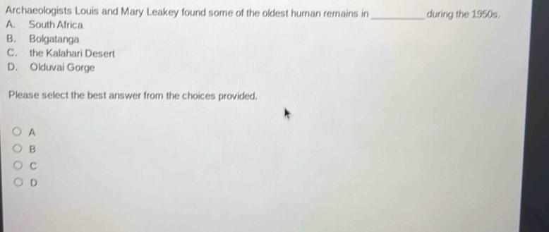 Archaeologists Louis and Mary Leakey found some of the oldest human remains in_ during the 1950s.
A. South Africa
B. Bolgatanga
C. the Kalahari Desert
D. Olduvai Gorge
Please select the best answer from the choices provided.
A
B
C
D